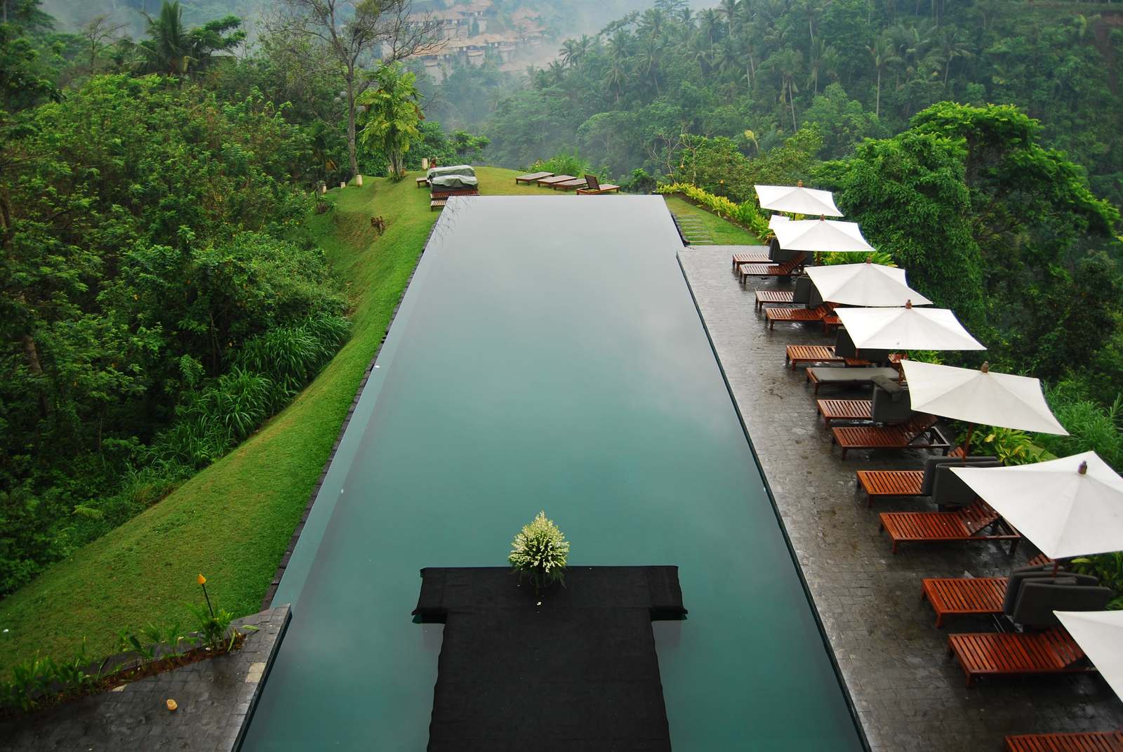Villa Palm