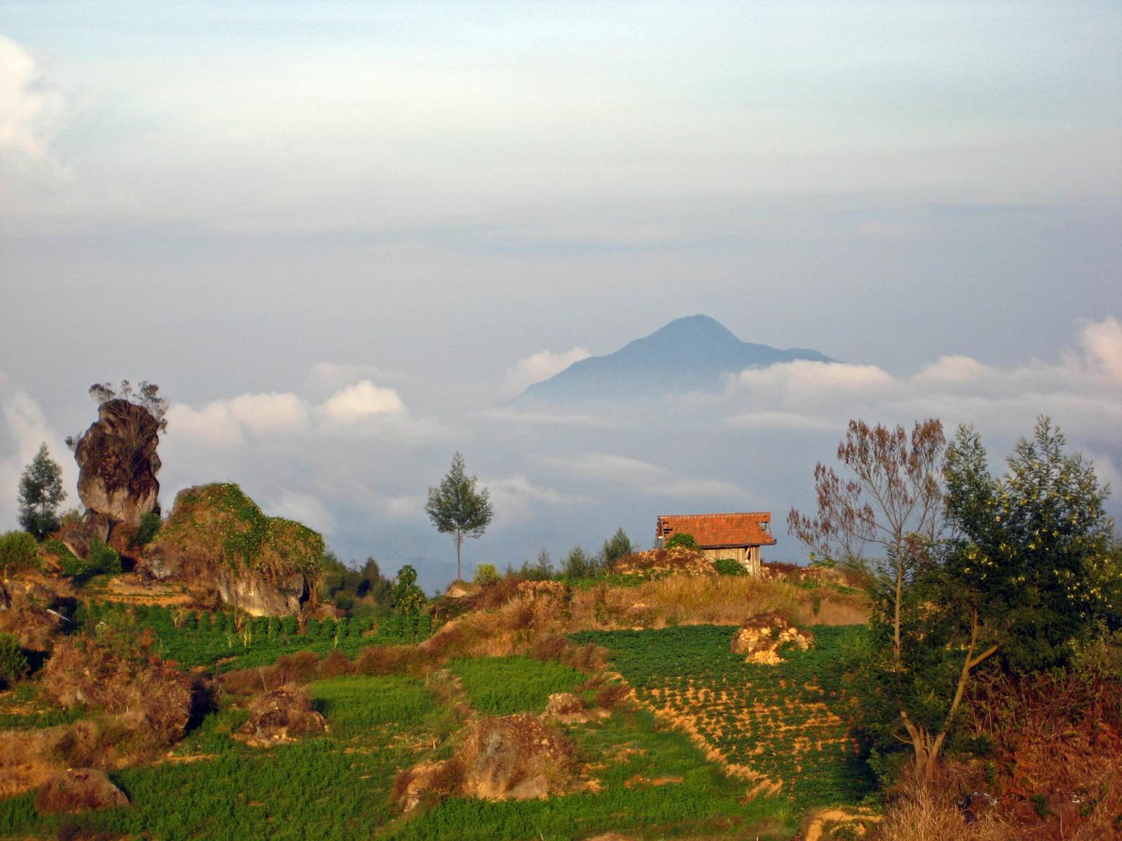 Dieng Open Trip